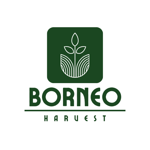 Logo 5