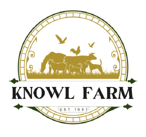 Logo 1